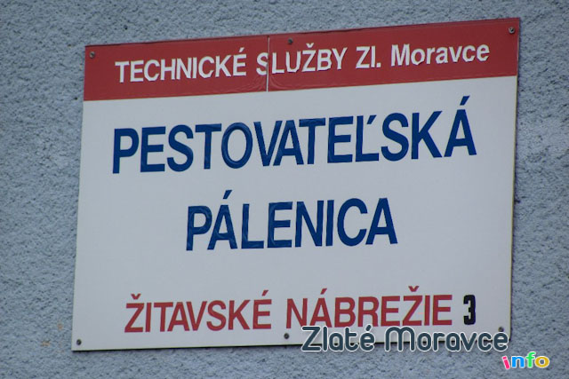 www.zlatemoravce.info