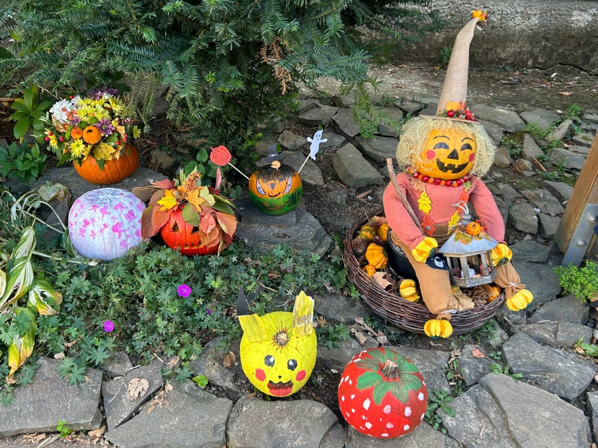 36445